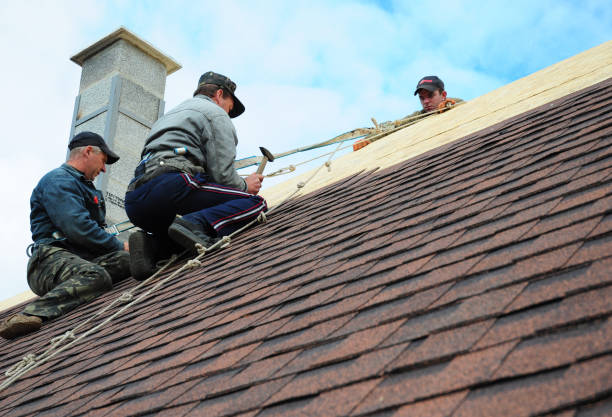 Best Gutter Installation and Roofing  in South Vacherie, LA