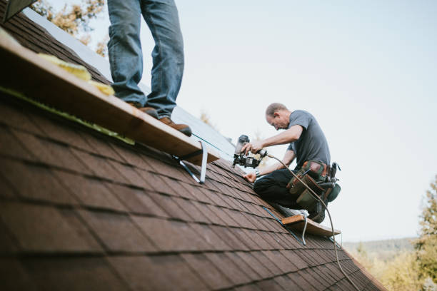 Best Local Roofing Companies  in South Vacherie, LA